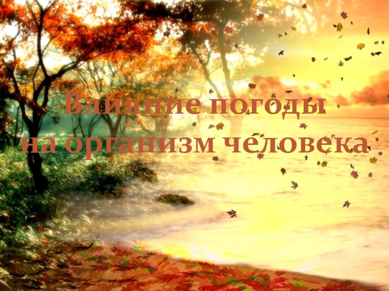 Влияние погоды на организм человека