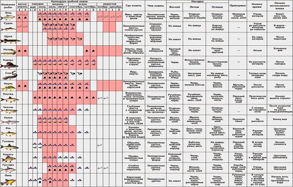 Когда и при каком атмосферном давлении лучше клюет рыба? – суперулов – интернет-портал о рыбалке
