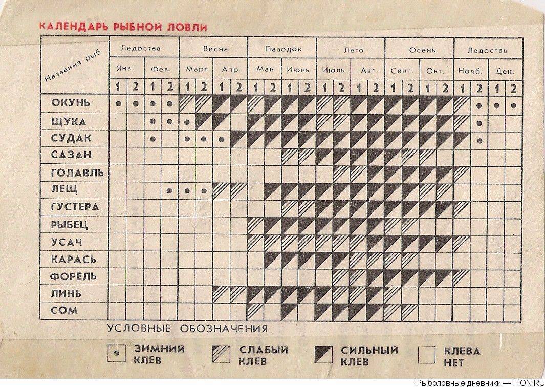 Атмосферное давление для рыбалки - какое давление считается нормальным, оптимальным и лучшим?