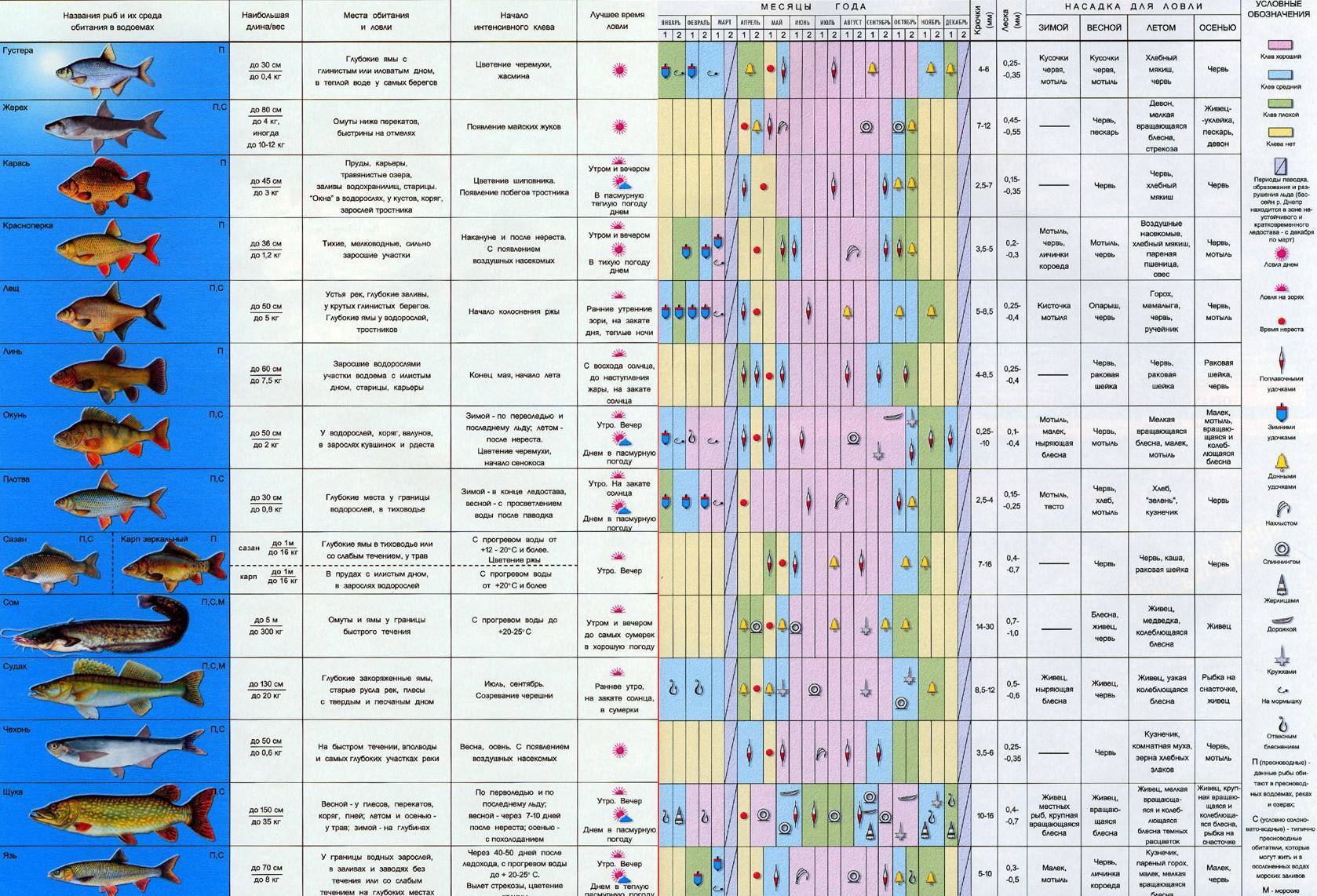 Капризы погоды: При каком давлении клюет окунь зимой