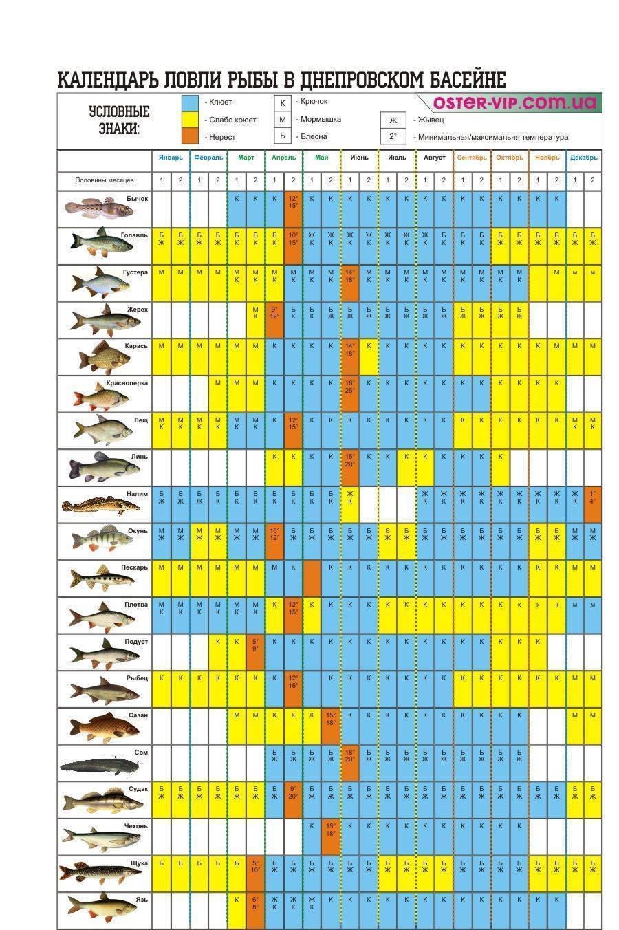 При каком давлении лучше клюет рыба зимой - все про рыбалку