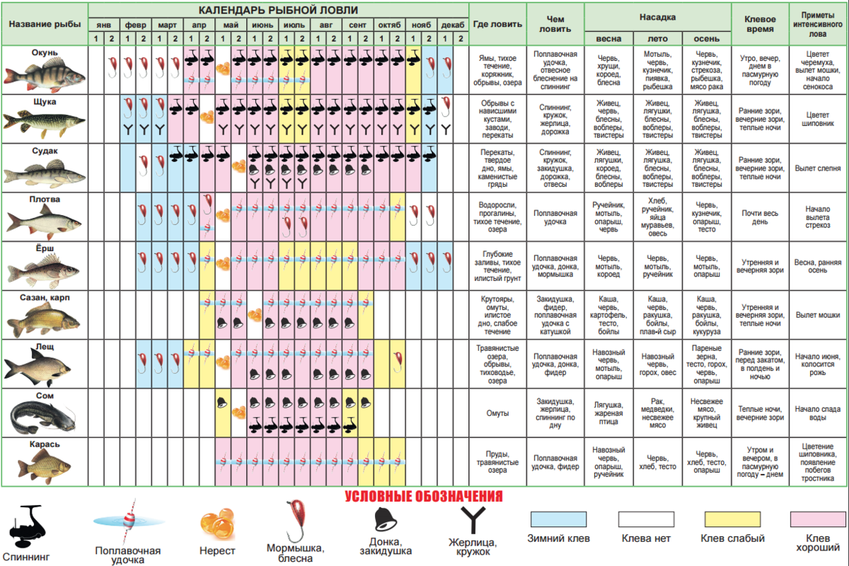 В какую погоду лучше ловить рыбу, как погодные условия влияют на клев