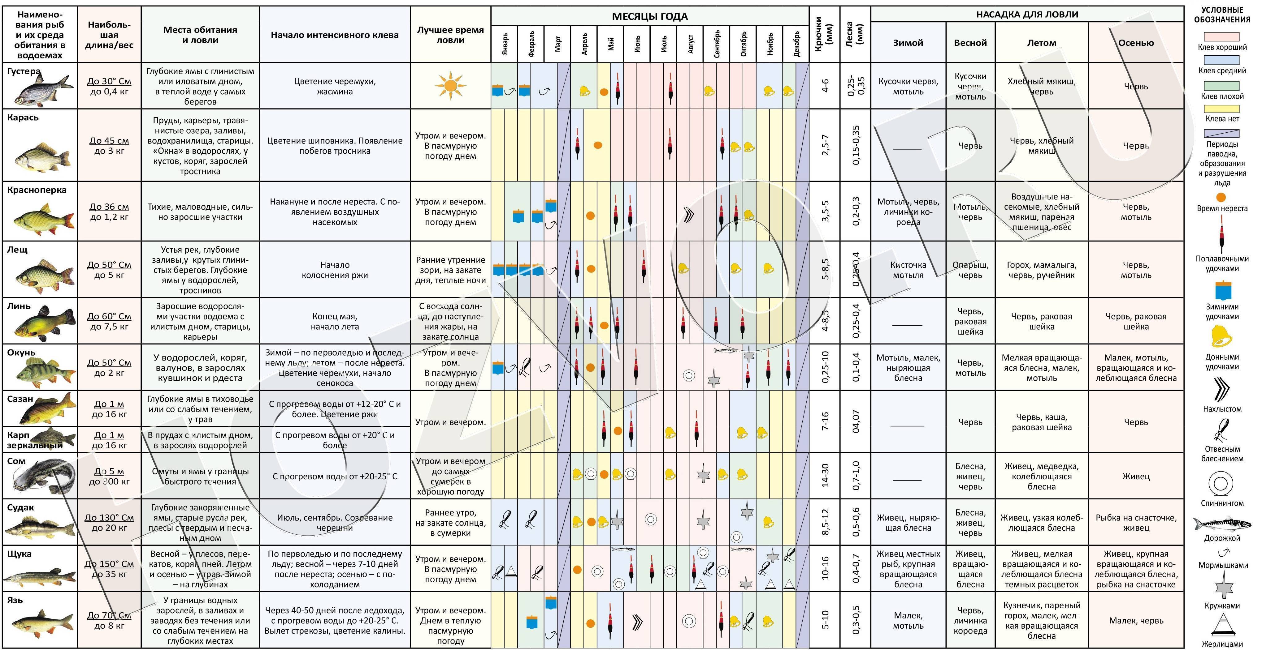 Давление для зимней рыбалки