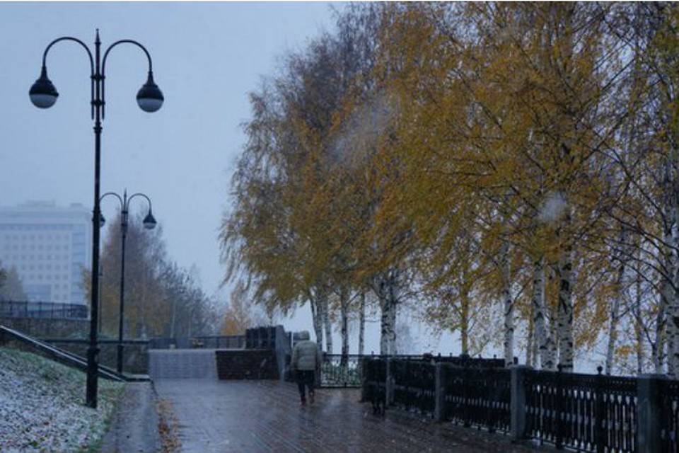 Снег в этом году выпал до покрова и листья береза еще не сбросила - приметы указывают на то, что зима будет суровой, но наступит она еще не скоро. Фото: Любительская метрология