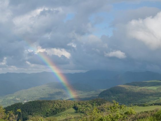 Воздержитесь от ссор с родственниками