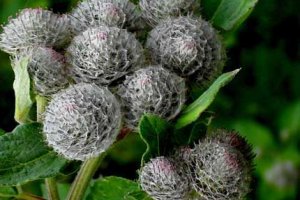 Приметы дождя