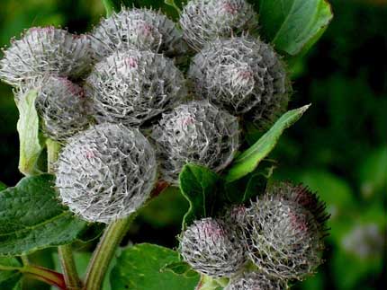 Приметы дождя