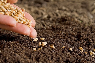 Запрет на работу в поле