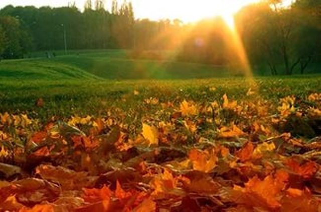 Приметы октября для детей