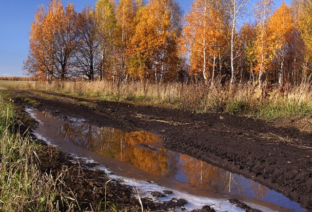 Приметы октября для детей