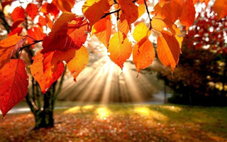 Приметы октября для детей