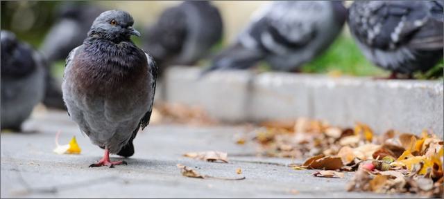 Приметы октября для детей