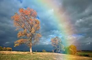 Приметы октября для детей