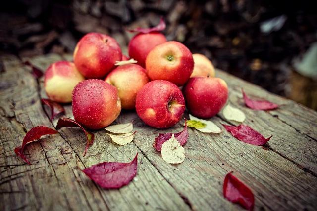 Приметы октября для детей