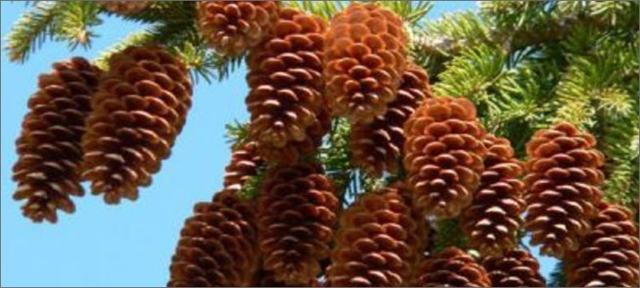 Приметы октября для детей