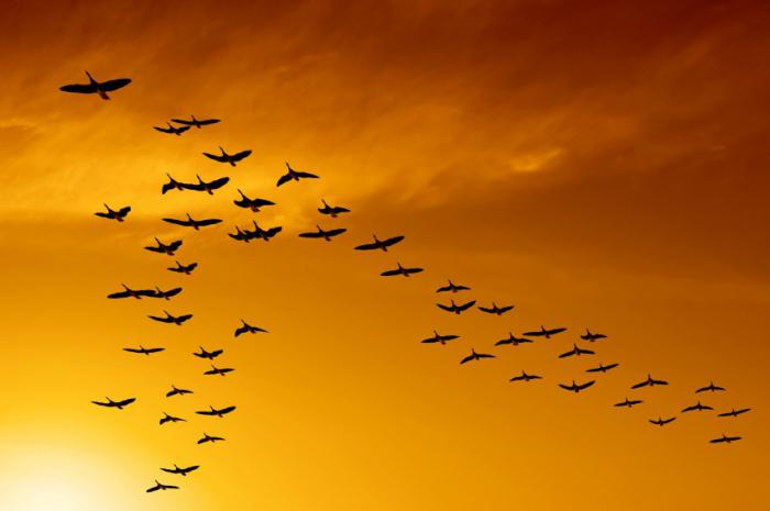 народные приметы осени для дошкольников