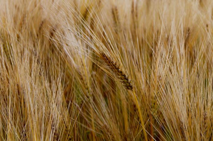 картинки приметы осени для детей