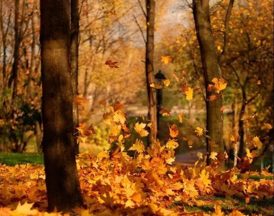 Листопад в октябре