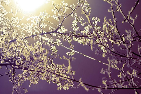 приметы погоды народные