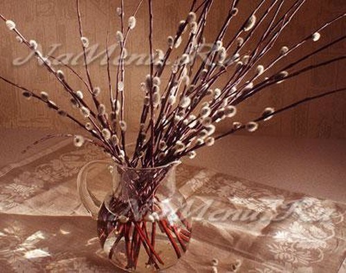 приметы на вербное воскресенье погода