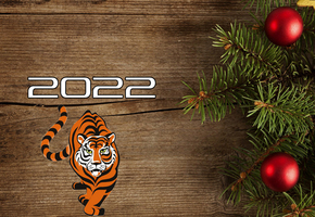 Как встретить Новый 2022 год, чтобы сделать его удачным