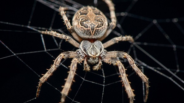 Народные суеверия