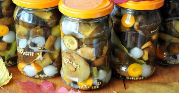 Солёные грибы в банках