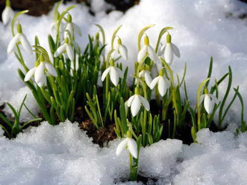 Приметы на Сретение Господне 15 февраля