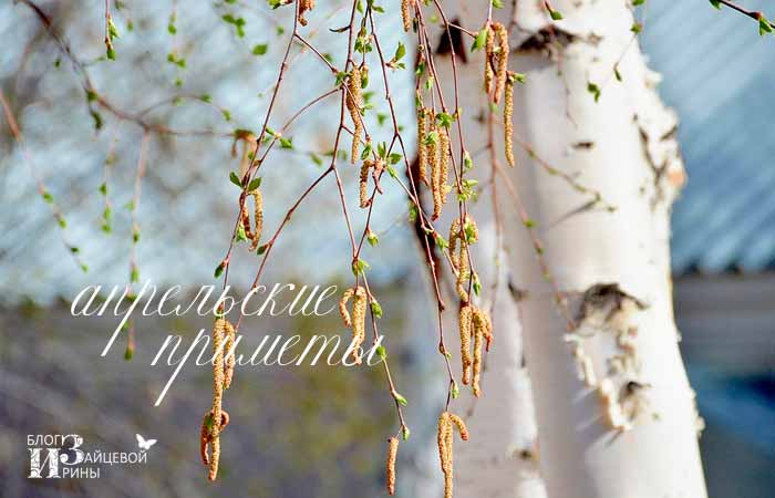 приметы весны для дошкольников