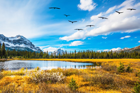 Прогноз клева рыбы в украине