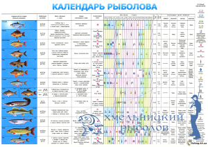 Прогноз клева рыбы в украине
