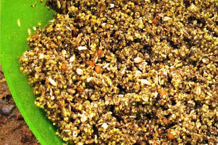 prikormka dlya leshha svoimi rukami 5