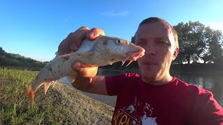 Прогноз клева запорожье владимировское