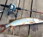 Прогноз клева рыбы в украине