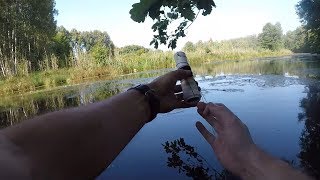 Ловля хищника на поставушки летом