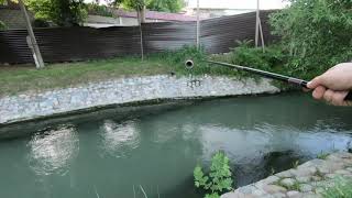 На что клюет маринка в ташкенте