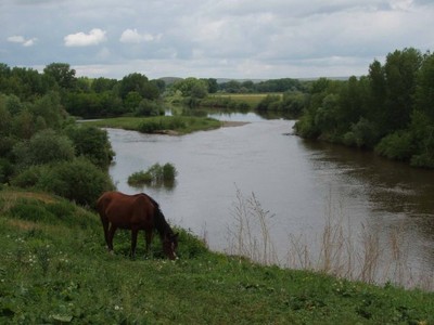 Как ловить в море на донку с лодки