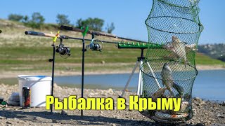 Как ловить карася на донку в июле какая наживка