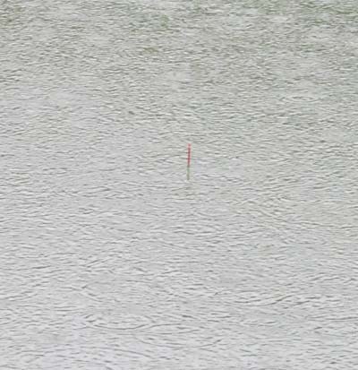 Трудно различать поклевки