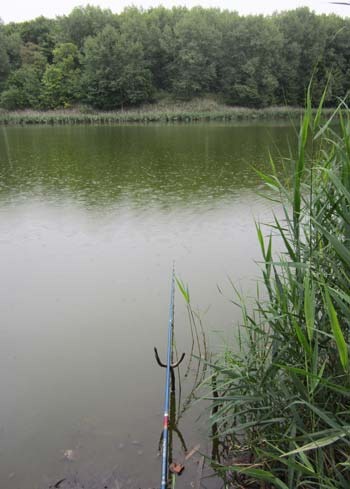 Удочка на карася