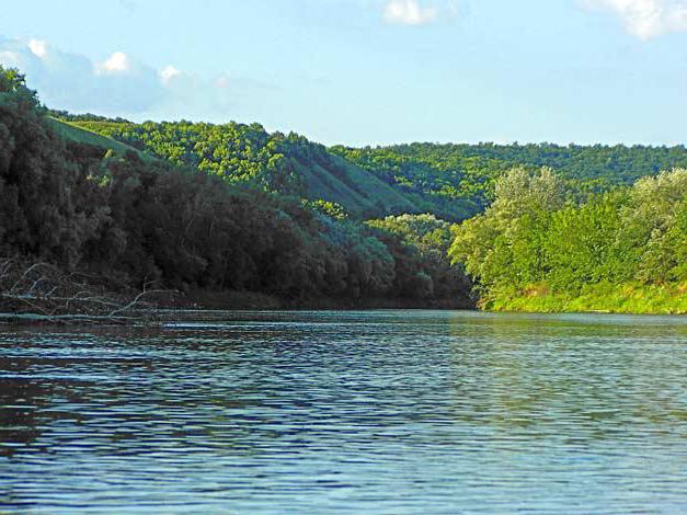 рыбалка в балашове на хопре 