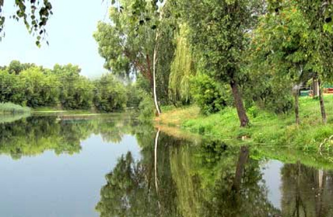 Брянская область