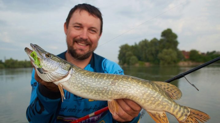 Рыбалка на Кубани