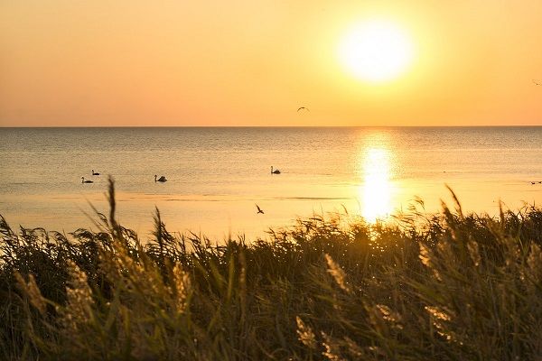 Бейсугский лиман