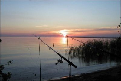 Фидер с берега