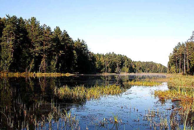 Орловская область