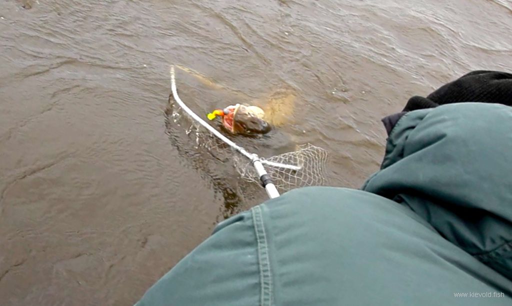 рыбалка в сорокошичах