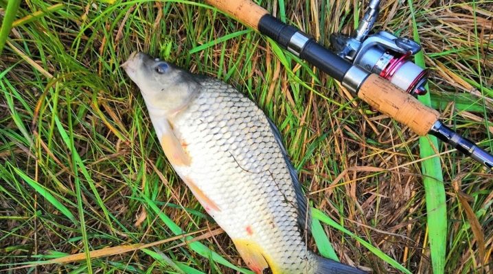 Все о рыбалке в Ставрополе и Ставропольском крае