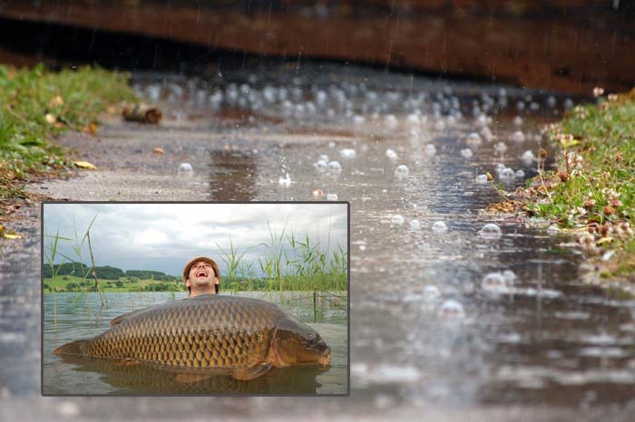 дождь в дорогу