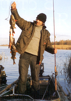 Сорокошичи